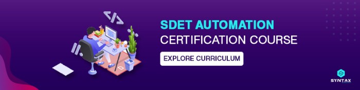 sdet automation certification curse