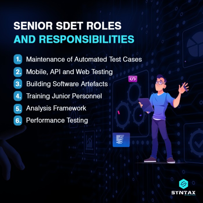 senior sdet roles and responsibilities