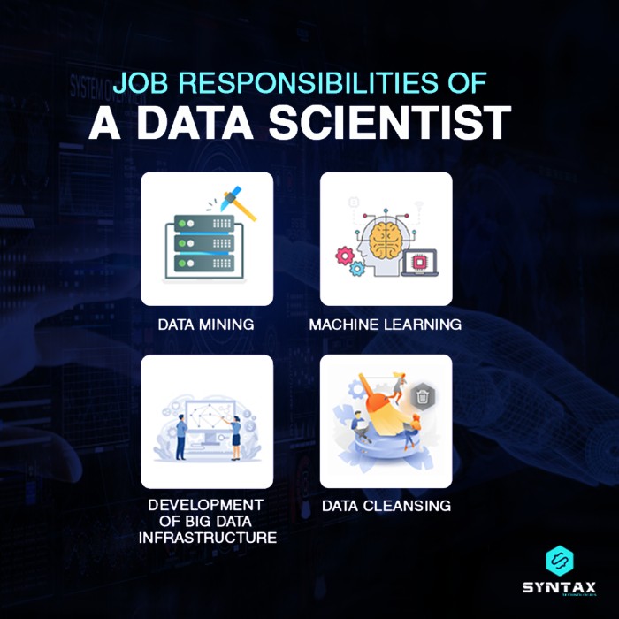 job responsibilities of a data scientist