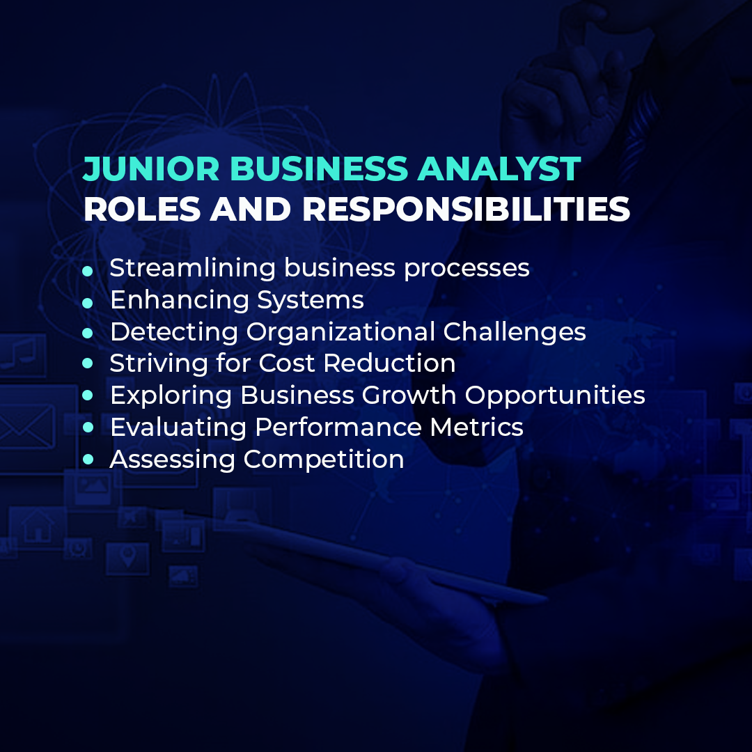 junior business analyst roles and responsibilities